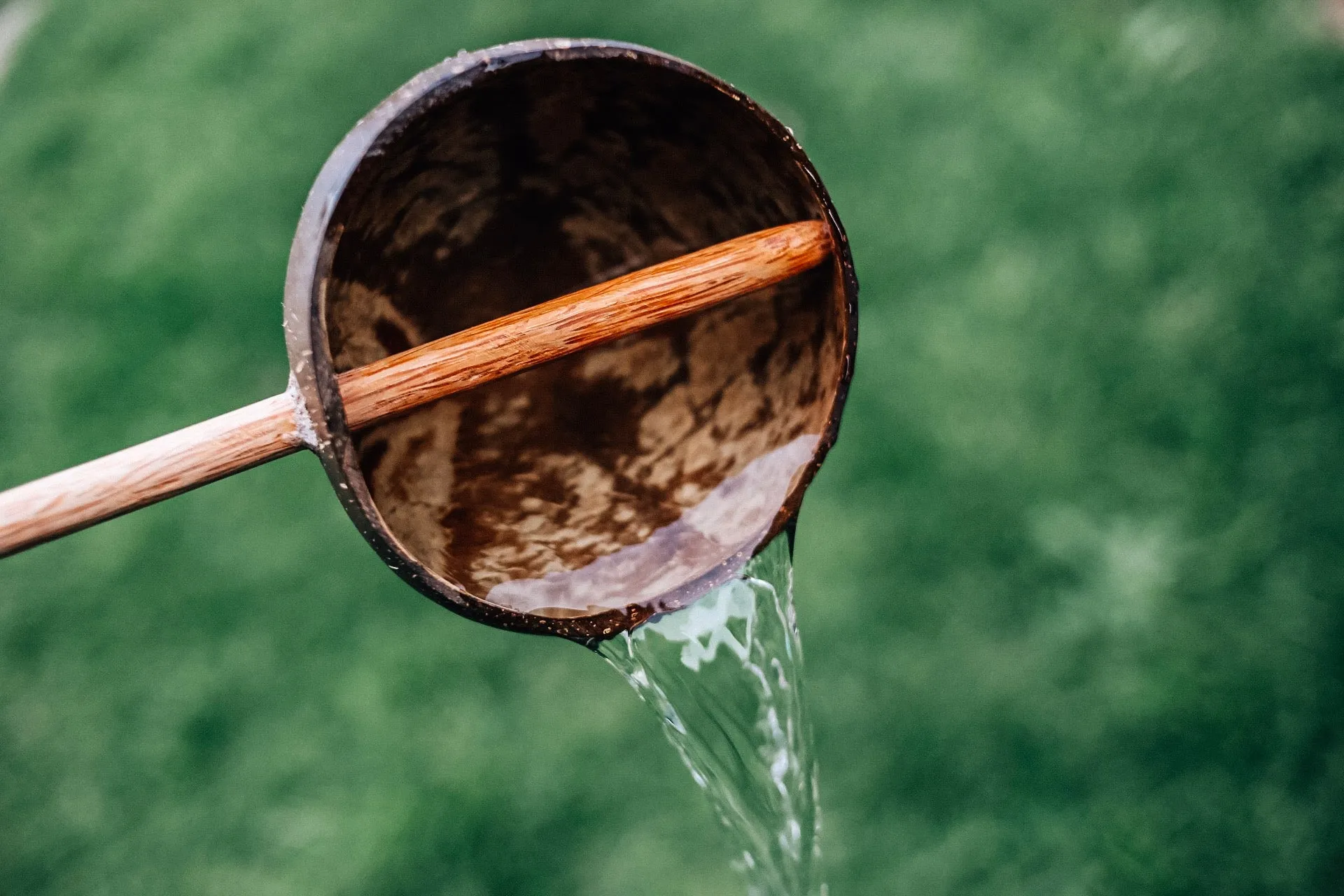 Coconut Water Scoop - Natural Kids Toy