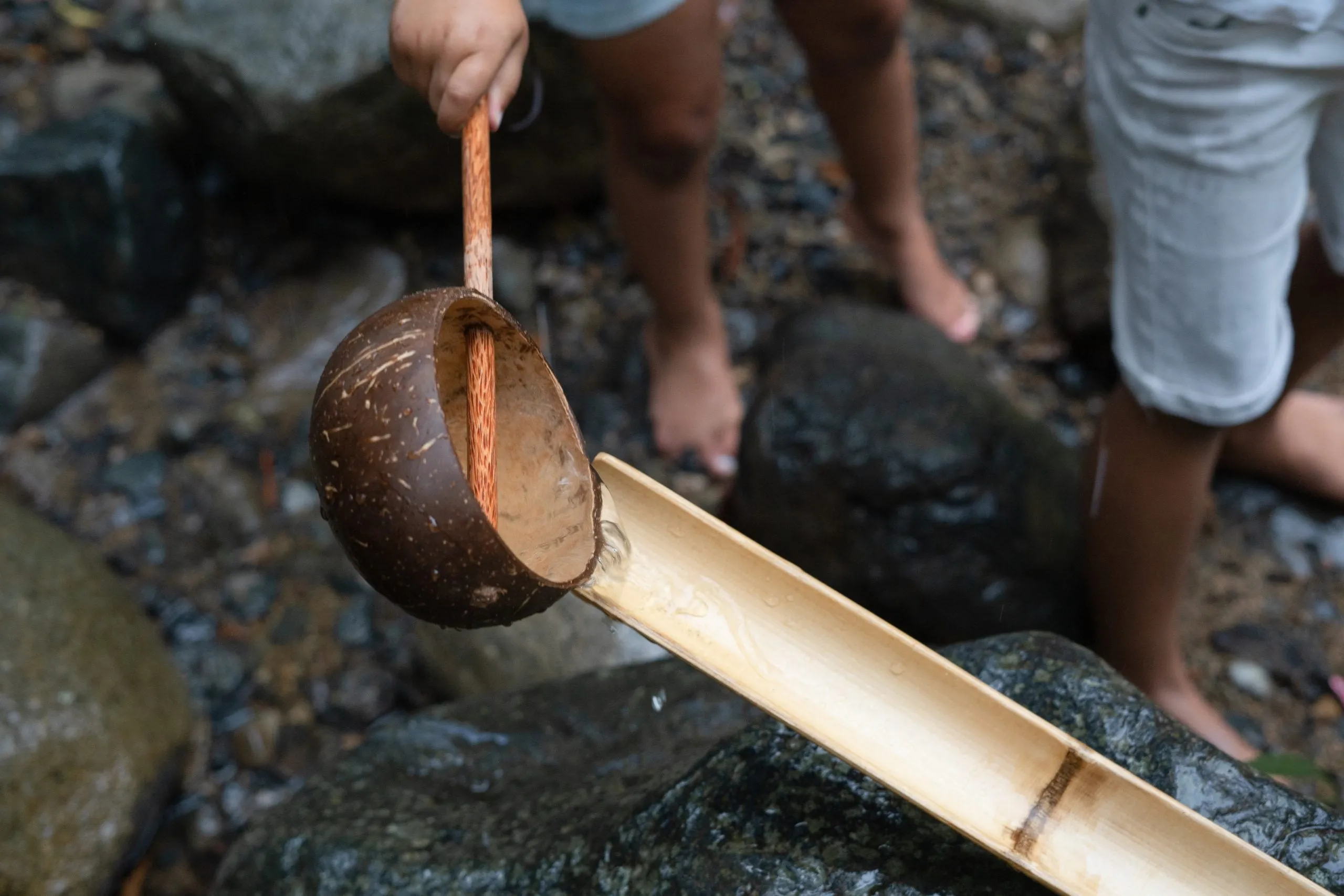 Coconut Water Scoop - Natural Kids Toy