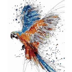 Colorful Eagle Animal - Paint by Numbers 40x50cm