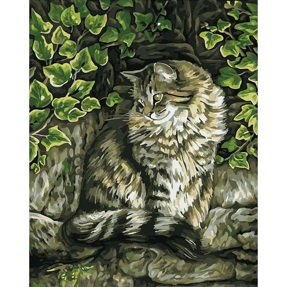 Outdoor Cat - Paint by Numbers 40x50cm