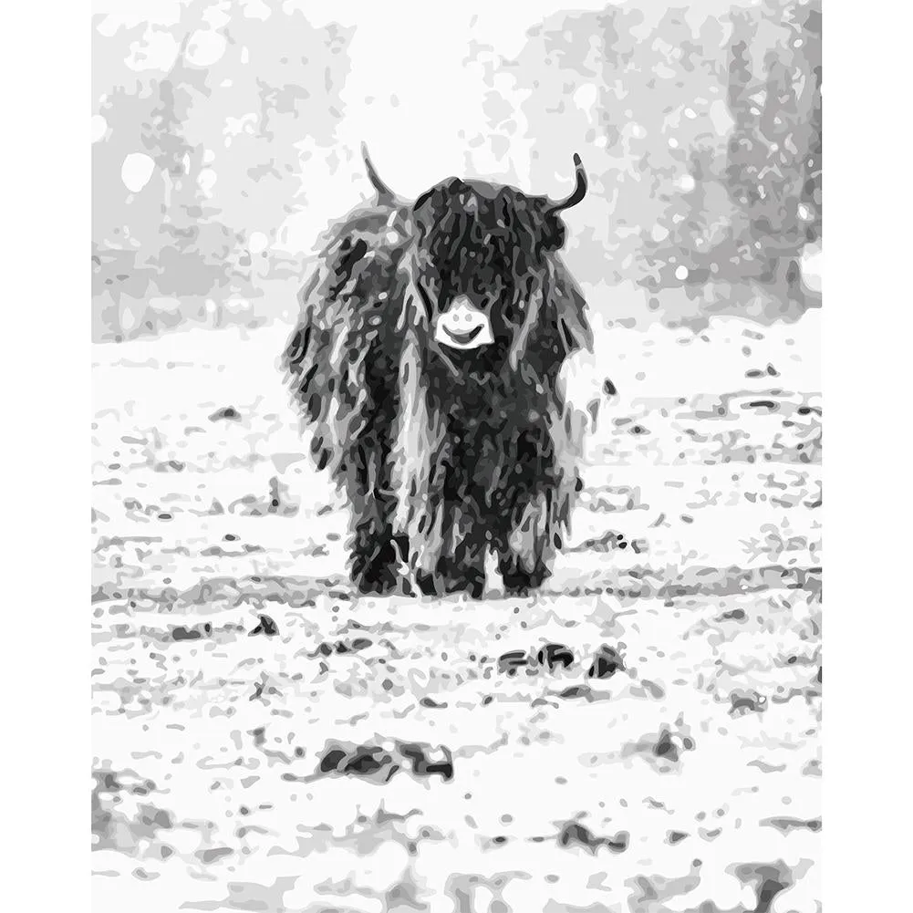 Snowfield Yak - Paint by Numbers 40x50cm